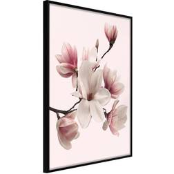 Arkiio Affisch Delicate Magnolias [Poster] 40x60 Poster